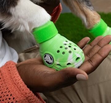 Crocs For Dogs Are A Thing. Here’s When & Where To Get A Set.