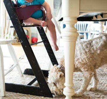 gettyimages-1158397917 I Deeply Regret Getting A Family Dog. There, I Said It.