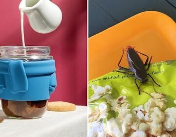 Without A Doubt, The 65 Coolest New Things Under $25 On Amazon