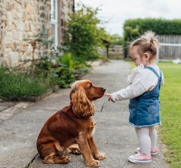 a-side-view-shot Are Dogs Replacing Children?