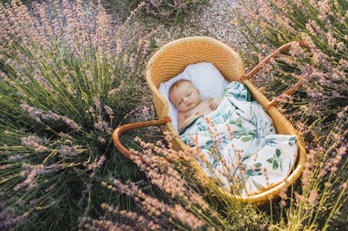 newborn-beautiful-baby-boy 23 Safe Haven Baby Names, Because They Are Trending In The U.S.