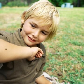 ER Visits For Tick Bites Surge, CDC Confirms