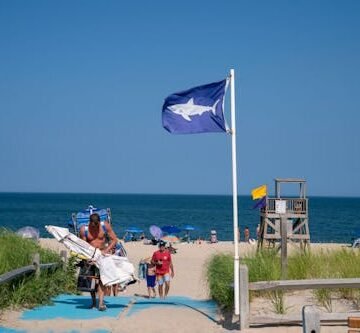 Shark Attack Experts Share Their Best Family Beach Safety Tips