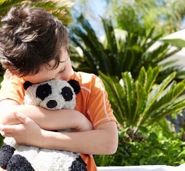 The Lost Stuffy Project Is Hoping To Reunite Comfort Objects With Kids In Texas