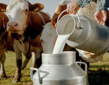 In Florida, Raw Milk Has Sickened 21 People, Here's What You Need To Know
