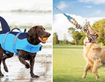 55 Weird Things For Dogs That Have Near-Perfect Amazon Reviews & Are So Damn Cheap